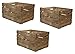 Price comparison product image 3x Used Apple Crates Wooden Crates - Basic Grade Authentic Rustic