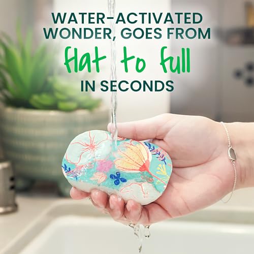 Image of Scotch-Brite Pop Up Kitchen Sponges, Unique Compressed Kitchen Sponge for Cleaning Gently, Floral Pattern Dish Scrubber that Expands with Water, 3 Scrubbing Sponges
