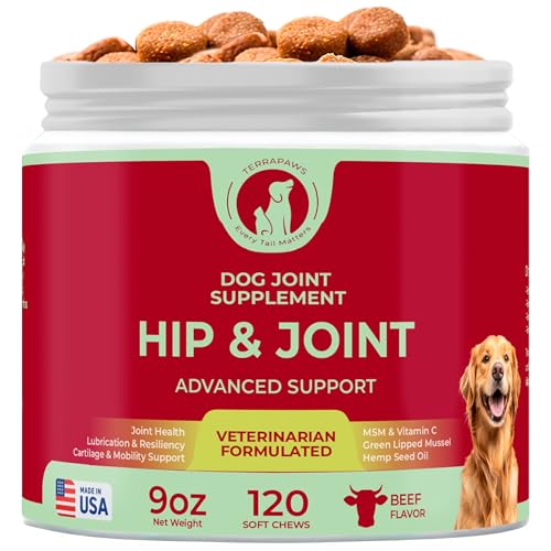 Hip & Joint Supplement for Dogs – Advanced Mobility Support with Glucosamine, Chondroitin, MSM, Turmeric & Green Lipped Mussel – 120 Soft Chews for Large, Medium & Small Dogs – Beef Flavor