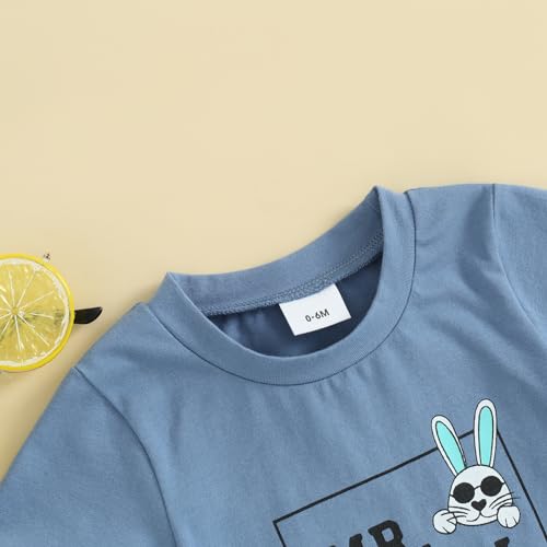 Image of BeQeuewll Toddler Baby Boy Easter Outfit Letter Bunny Print Short Sleeve T-Shirt and Shorts Summer Clothes Set