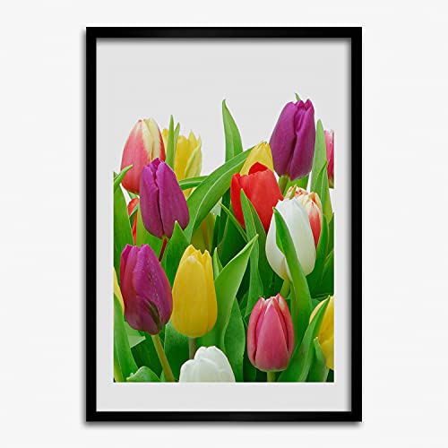 Affiche peinture tulipes colorées sous cadre en bois décoratif 50x70 cm de style moderne