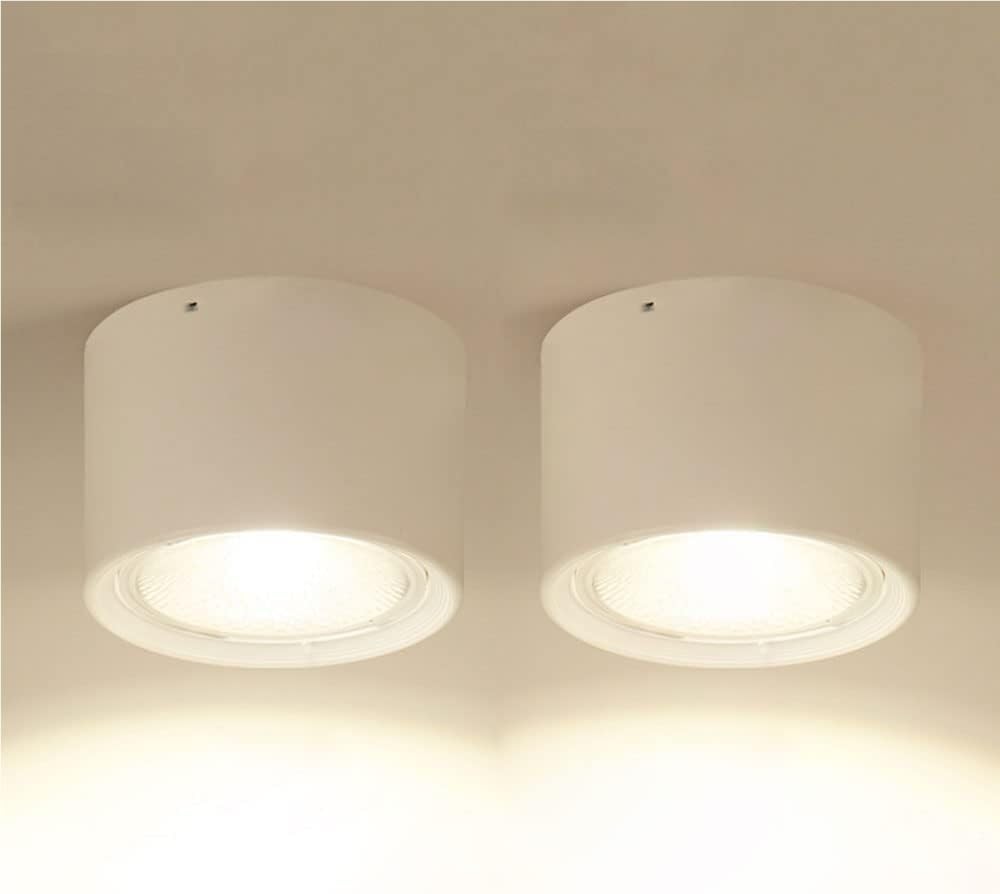 LYOUAE 2PCS LED Cylinder Downlights Aluminum Spotlight Mount Spotlights