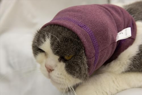 Image of Cat Snood Cover Noise Cancelling Ear Wrap Neck Cat Head Cover Ear Wrap for Baths Pail Lilac S