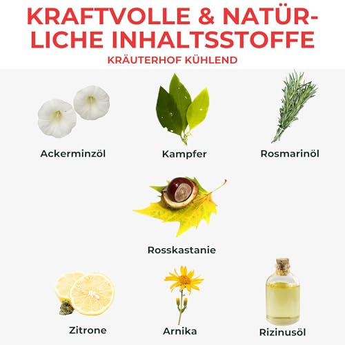 Kräuterhof Pferdebalsam Set Kühlend und Wärmend (2 x 500 ml) – Mit Menthol und Kampfer gegen Muskel- und Gelenkschmerzen, Durchblutungsfördernd und Entspannend, Lindert Verspannungen, Vegan