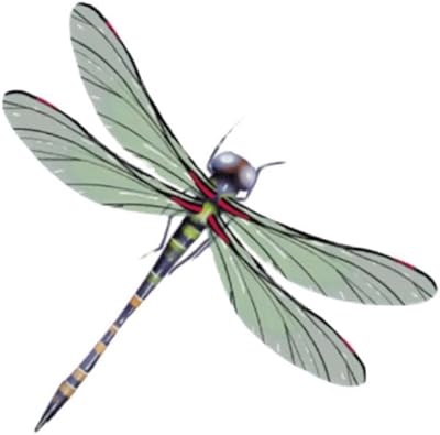 3 Sheets Colourful Dragonfly Temporary Tattoo Stickers Small Pattern Shoulder Arm Ankle Realistic Fake Tattoo, green