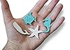 Shoreside Nautical Sea Creatures Miniature Beach Themed Arts and Crafts Wood Cut Outs Seahorse, Whale, Starfish and Fish (40 Pieces) #2
