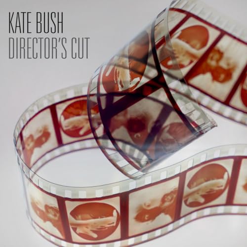 Album Art for Director'S Cut - 2018 Remaster 180gm Black Vinyl by Kate Bush