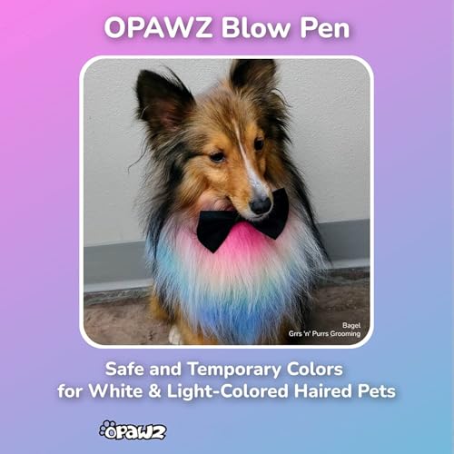 Blow Pen OPAWZ 10 Colores con Plantillas Tatuaje miniatura 2