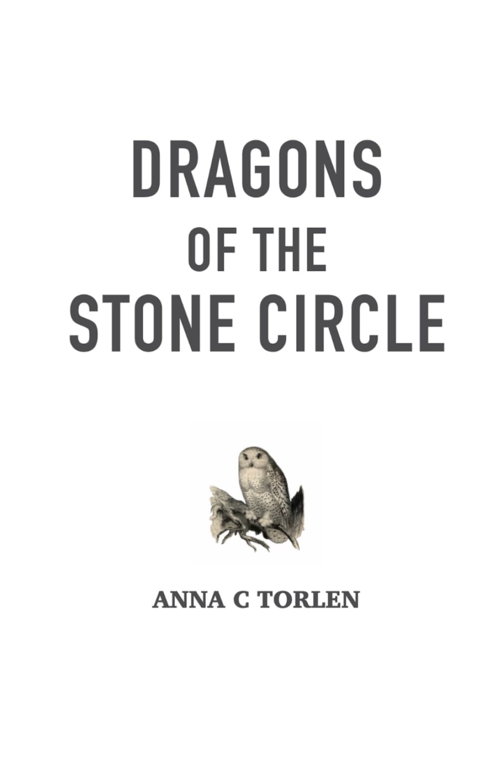 Dragons of the Stone Circle