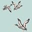 Quacking'up