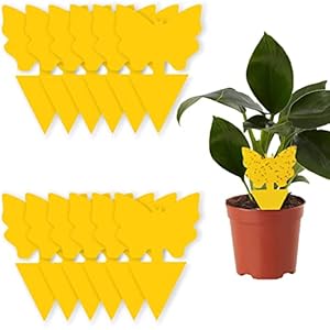 10 Stück Gelbtafeln Fruchtfliegenfalle, Steckbare Fliegenfalle Insektenfänger für Garten,Topfpflanze Innenraum Und Draußen, Umweltfreundlich