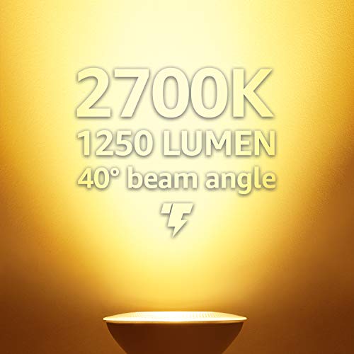 TORCHSTAR Dimmable PAR38 LED Outdoor Flood Light Bulbs #TOP25