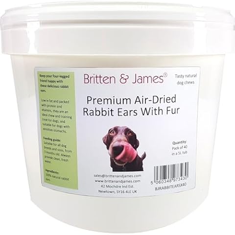 Britten and James Rabbit Ears Dog Treats Cover