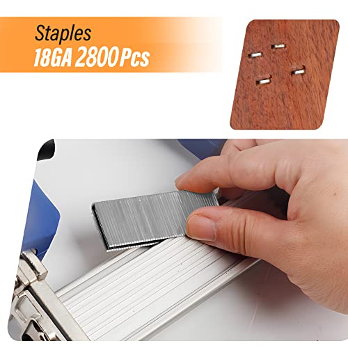 image for SITLDY 2800-Count 18 Gauge 1/4