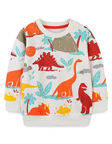 Toddler Boys Crewneck Sweatshirt Pullover Long Sleeve Tops Shirts Pack of 23