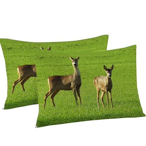 Housse de couette 160x200 douce en microfibre imprimée avec fermeture éclair - 8