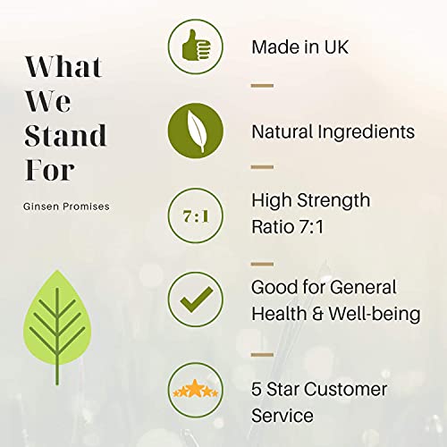 Ginsen-10-Boxes-Ginseng-Royal-Jelly-Oral-Liquid-3x10x10ml-Red-Panax-Ginseng-Royal-Jelly-Improves-Stamina-Memory-Focus-Clarity-Immunity-and-Energy-Support-UK