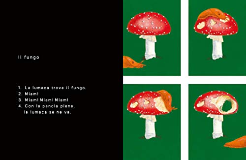 In 4 Tempi. Ediz. Illustrata - 5