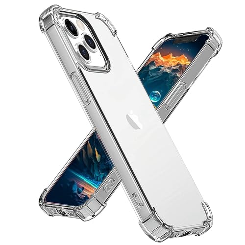 STORM BUY Case Compatible for [ iPhone 11 Pro Max ], Crystal Clear Hard Back Phone Cover with 4 Corners Shockproof Protection Clear Case for iPhone 11 Pro Max, 6.5 inches-CL