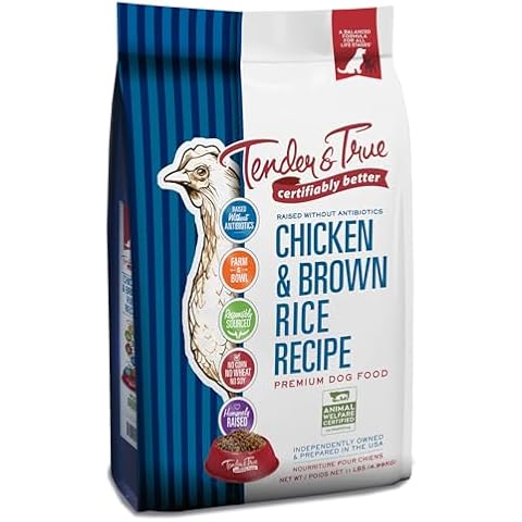 Tender & True Antibiotic-Free Chicken & Brown Rice Recipe Dog Food, 11 lb Cover