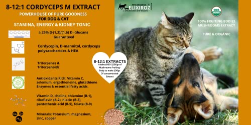 Image of Cordyceps Mushroom Extract for Dogs & Cats - 25%+ Beta Glucans - Fruiting Body (8:1-12:1 Concentrated) - Energy, Stamina & Vitality Support - No Fillers - 250 Servings