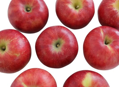 s󃌃XgŏЉtB} ]h 3kg ̂ B܂ Î悤ȊÖ x13xȏ 󂠂 Y YB}Ɠi