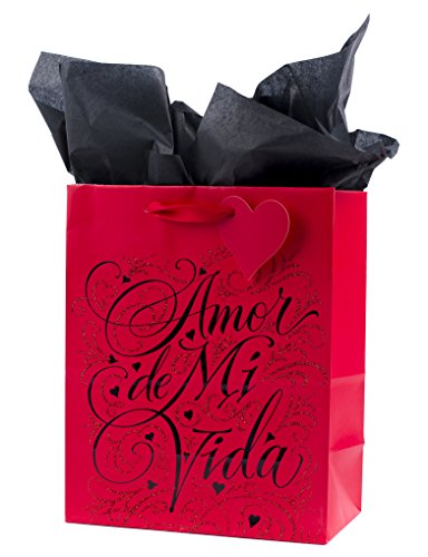 Hallmark Vida Medium Spanish Valentine's Day Gift Bag with Tissue Paper (Amor De Mi Vida)