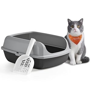 Feandrea Katzenklo mit hohen Seitenwänden, XL, offene Katzentoilette, mit Schaufel, für Kätzchen und große Katzen, schiefergrau PPT009GN01