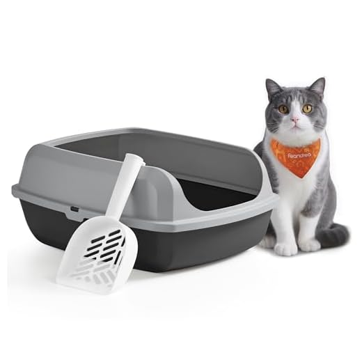 Feandrea Katzenklo mit hohen Seitenwänden, XL, offene Katzentoilette, mit Schaufel, für Kätzchen und große Katzen, schiefergrau PPT009GN01