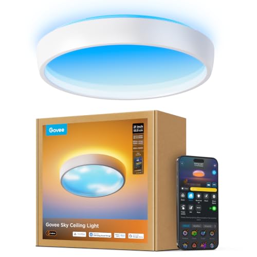 Govee Sky Ceiling Light