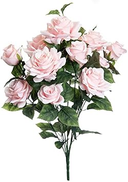 Ashland Pink Rose Bush