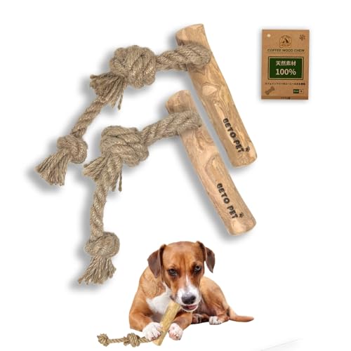 BETO PET xgiY R[q[Ebh  [vt^Cv     Y 100%i` VR  R[q[̖ JtFCt[ f^PA CC11i (2{, S)