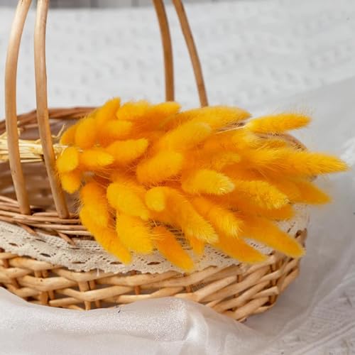 Flores Secas Bunny Tails, 50 Piezas 45 cm Cola de Conejo miniatura 1