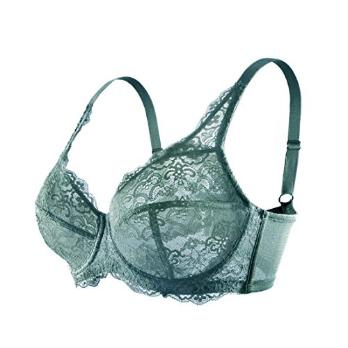 Hsia Underwire Minimizer Bra Women's Unlined Plus Size Bra Full Bust Sheer Bra Sexy Lace Unpadded Bra 34C-44Ddd Grey Blue #TOP1