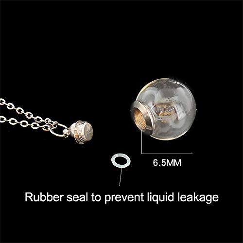 2PCS Fillable Glass Locket Hair Locket Ash Holder Small Ash Urn Cremation Jewelry Blood Vial Necklace2
