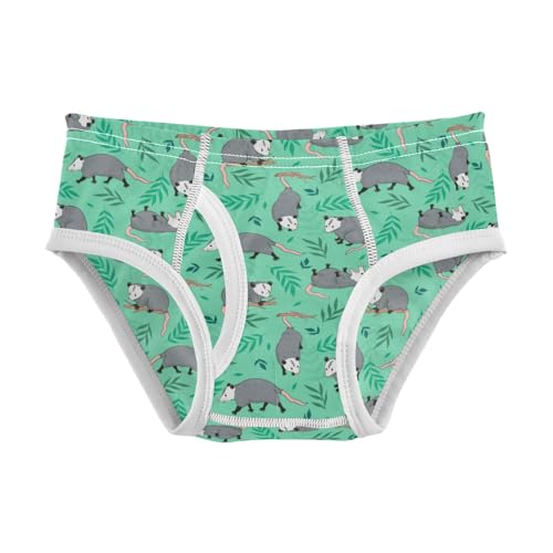 Boys' Exclusive Briefs Toddler Underwear 95% Combed Cotton Boxerbriefs 2T Animal Pattern 11