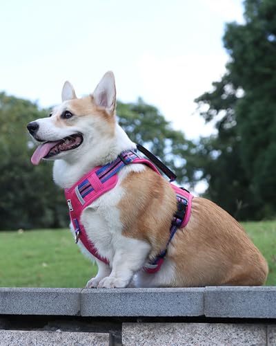JUFOO No Pull Dog Harness with Easy Control Soft Handle for Small Medium Large Dogs,Reflective Adjustable Puppy Harness,Heavy Duty Girl Boy Pet Vest with Safety Buckle (Pink, S)