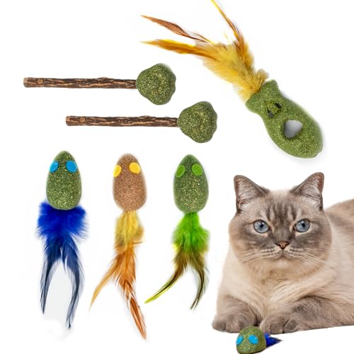 Qigeneimu Cat Catnip Toys Cat Chew Toys,Catnip Filled Mice Toys for Indoor Cats,Cleaning Teeth Molar Tools for All Breeds,Realistic Design(6 Pack)