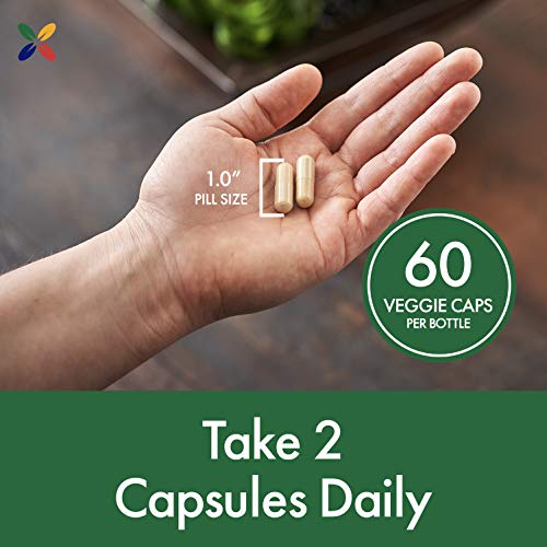 Stop Aging Now - Olipure Bp Blood Pressure Support - Olive Leaf Extract With Celery & Magnesium - Blood Circulation, Blood Vessels & Blood Flow Supplement - 60 Vcaps #TOP6