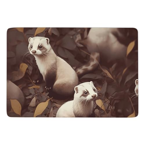 Tapis de sol en velours corail absorbant fini les glissades dans le salon de la maison - 2