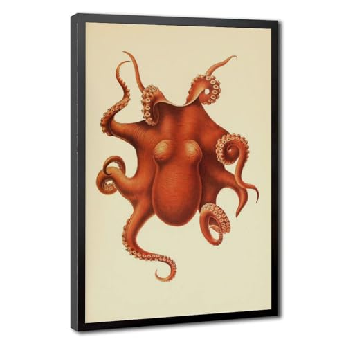 Impression Octopus Ewald Rubsamen haut de gamme cadre suspendu WCYB