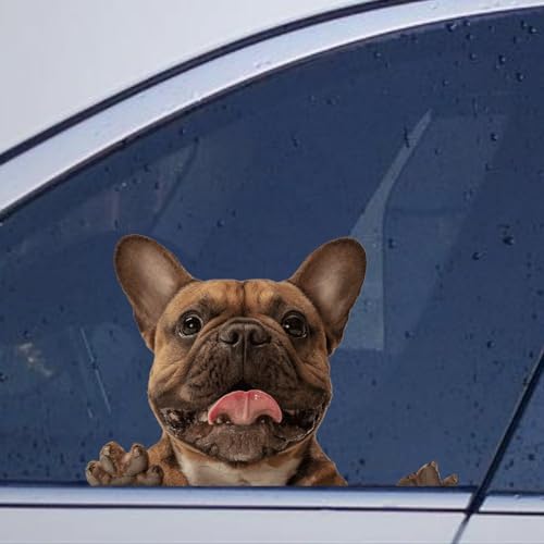 Image of French Bulldog Car Window Stickers French Bulldog Car Decal Animal Pet Window Decal Car Bumper Decals Decor for Truck Window Bumper Gift to Dog Lover