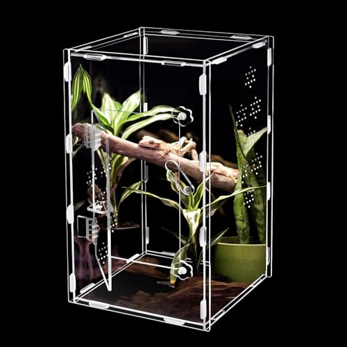 Jumping Spider Enclosure, Jumping Spider Accessories, Transparent Acrylic Amphibian Terrarium, Animal Box Habitat for Spiders, Arthropods, Amphibians, Etc. (11.8 6 6in)