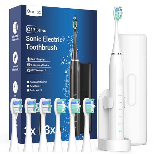 Brosse à dents électrique pour adulte - Brosse à dents sonique avec 6 têtes de brosse, une...