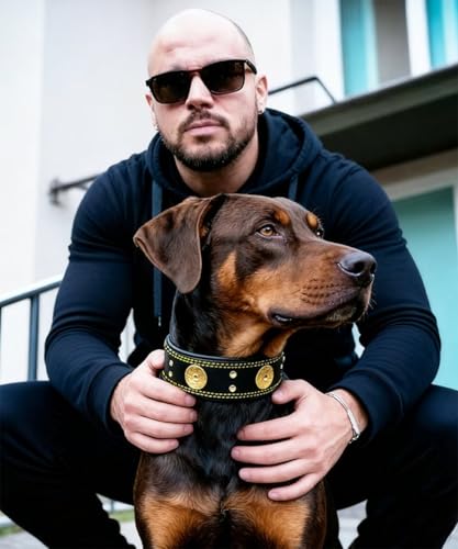 Hundehalsband Leder, 5 cm Breites Robustes Echtes Lederhalsband, Handgefertigt, Weich und Luxuriös, Auffällige Beste Wahl für Große und Mittelgroße Hunderassen, Gold-Schwarz M