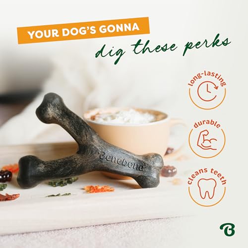 Image of Benebone Pumpkin Spice Wishbone - Limited Edition Flavor, Durable Dog Chew Toy for Aggressive Chewers, Made in USA, Large