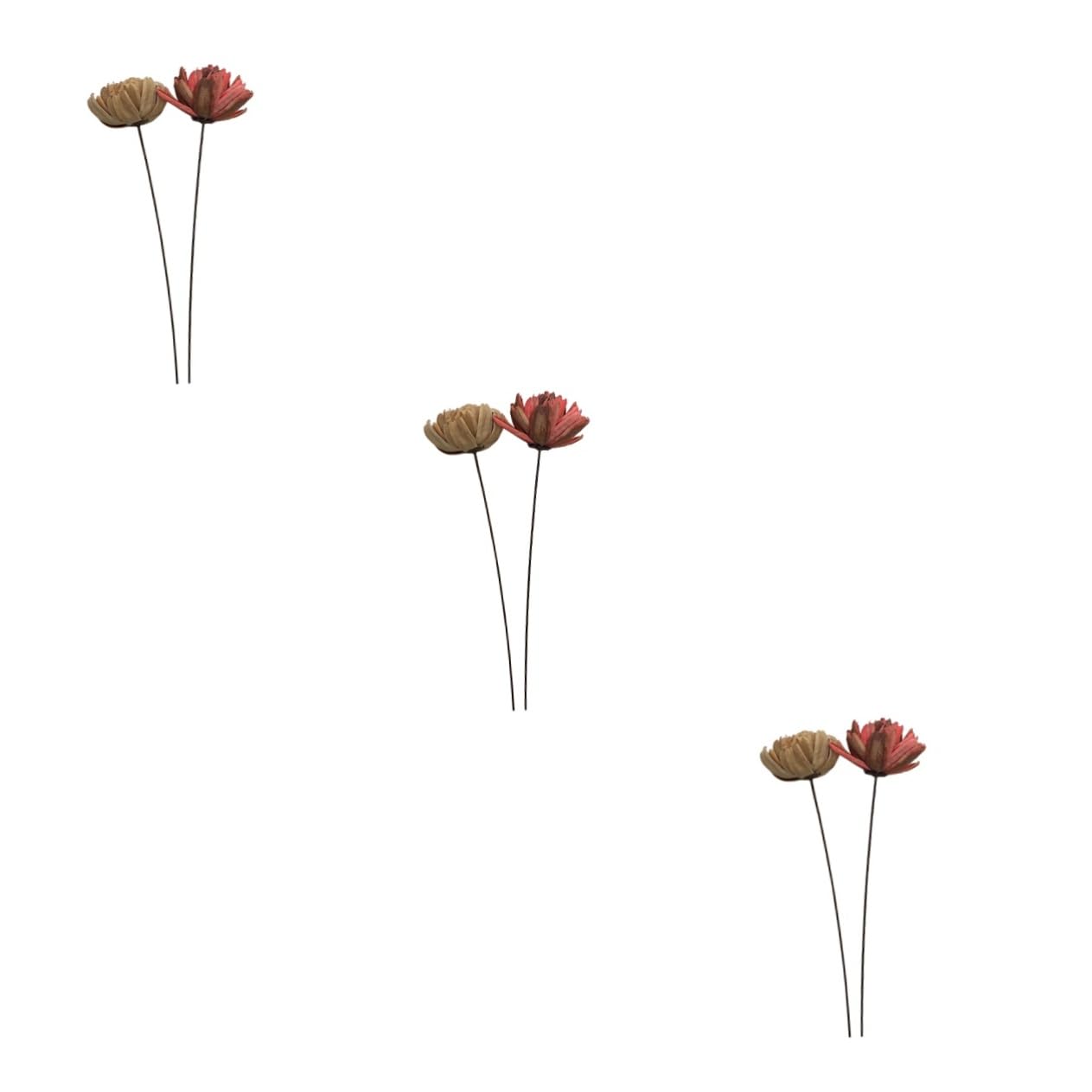 DECHOUS 6pièces Bouquet De Fleurs Séchées Naturelles Décoratif pour Décoration Intérieur Éléments De Mariage Et Accessoires De Fête