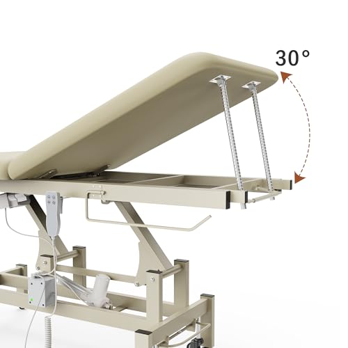 Image of 2 Motors Electric Massage Table, Hydraulic Electric Lift Adjustable Waist and Height Lifting Functions for Treatment, Physical Therapy, Spinal Massage, Facial Spa, Waxing, Tattooing - Beige Gray
