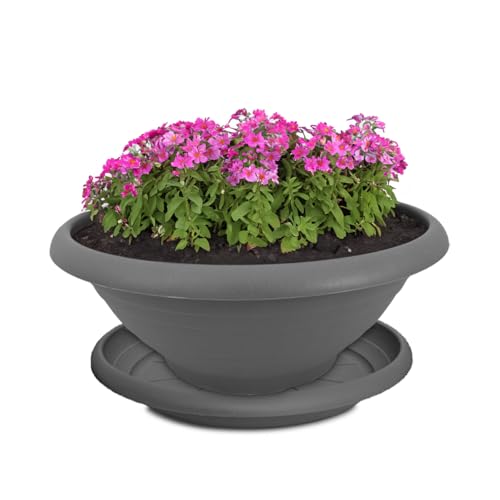 Macetero y platillo como macetero resistente a la intemperie con agujero, maceta redonda de 30 cm en color gris como maceta resistente a las heladas para exteriores, maceta grande como maceta de
