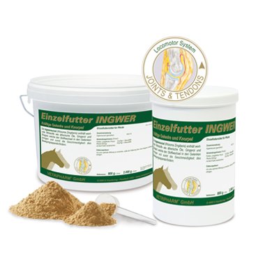 Ingwer 100% 2 kg